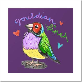 The Gouldian Finch Posters and Art